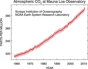 Obr. 1 Namen koncentrace CO₂ v atmosfe v letech 1958–2010 [NASA]