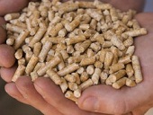 Klastr esk peleta byl zaloen na podporu vyuvn biomasy pro vytpn