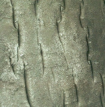 Obr. 5 Detail vnitnho povrchu polypropylenov trubky (zvten 50×)