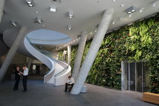 Ve vstupním foyer oživuje atmosféru stěna z pokojových rostlin, zavlažováno dešťovou vodou