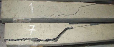 Obr. 20b: Poruen elezobetonovch trmk bez ocelovch vlken: vzorek 1 – smykem (CP – poruen betonu ikmou smykovou trhlinou po ztrt soudrnosti podln vztue s betonem – ztrta zakotven vztue), vzorek 7 – smykem (AP – poruen pouze smykovou trhlinou)