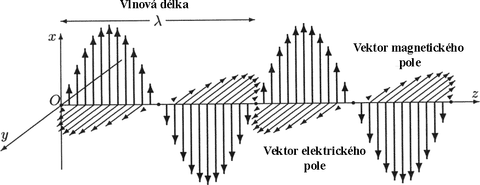 Obr. 1 – Schma elektromagnetick vlny dlky λ – elektrick (x) a magnetick sloka (y) vlnn