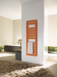 Na obrázku elektrický koupelnový radiátor Zehnder Metropolitan Spa s dálkovým ovládáním, splňující evropskou směrnici EcoDesign.
