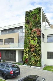 Vertikální zahrada je dominantním prvkem průčelí budovy Dinex Technologies. Zdroj: www.vaszahradnik.cz