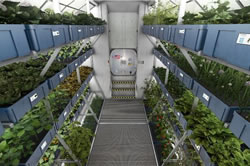 Pozemní výzkum NASA využívá prototyp, aby zajistil posádkám ve vesmíru spolehlivý zdroj čerstvých potravin. Fotografie: NASA