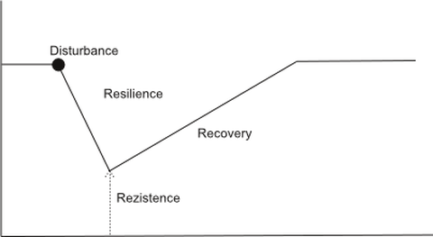 Obr. 4 Schématické vyjádření resilience (odolnosti)