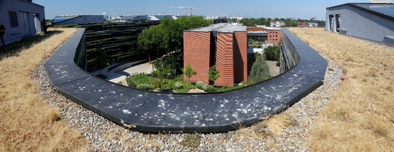 Obr. 1. Pohled z extenzivn stechy budovy adu pro mstsk rozvoj a ivotn prosted v Hamburku na sten zahrady na podzemnch garch (Foto J. Vtek)