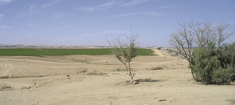 Obr. 2: Typický pohled na krajinu v Izraeli, i v poušti lze díky závlahám vidět prosperující zemědělská pole