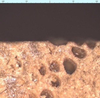 Obr. 3 B: Zvětšení a zobrazení nerovností povrchu dubového dřeva pomocí konfokálního laserového scanovacího mikroskopu