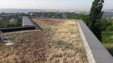 Vítězná Zelená střecha roku 2018 Villa Sophia (foto ISOVER)