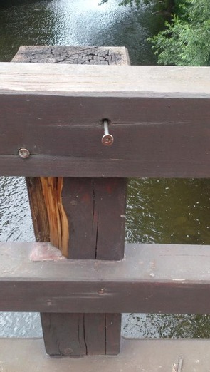 Obr. 5: Nechráněný povrch nekonstrukčního prvku zábradlí u lepeného mostu, patrné tlení dřeva a zdroj výskytu dřevokazné houby (lávka v Předkláštěří u Tišnova)