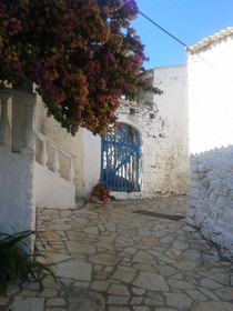 Autorka: Jitka Stedov - Pekrsn vchod , kterm vchz majitel do svho pbytku na Korfu ve msteku Afionas