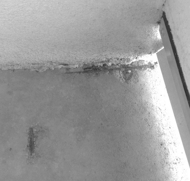 Obrzek 4b.: Viditeln vyztuen v u hornho povrchu lodiovm panelu, kryc betonov vrstva je minimln nebo nulov, soustava T06B, Brno