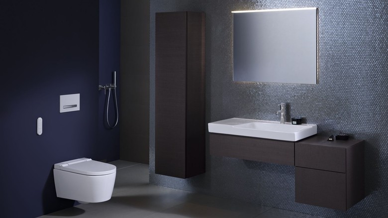 Nové sprchovací WC Geberit AquaClean Sela je dostupné s&nbsp;krytem z&nbsp;lesklého chromu nebo s&nbsp;plastovým krytem v&nbsp;barvě alpská bílá.