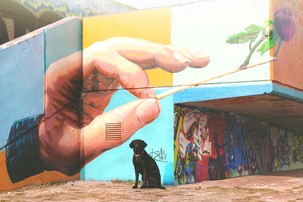 Ukázky mural artu ze světa