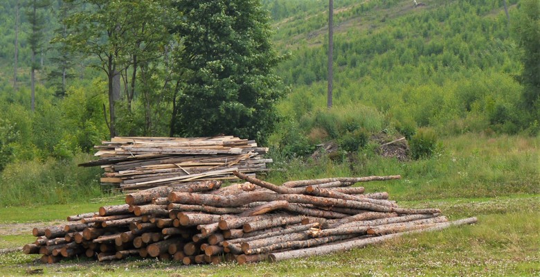 Obr. O tom, že je v České republice velké množství dřevní hmoty každoročně znehodnoceno, nelze bohužel pochybovat. Právě toto jinak nevyužitelné dřevo lze využít k vytápění.