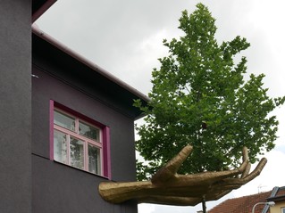 Ruce, jež chrání strom – Kristkův dům (autor Ing. arch. Petr Brandejský)