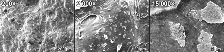 Obr. 5 Mikrofotografie vnjho povrchu pnovho skla ze SEM