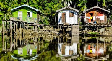 Projekt na podporu ochrany amazonských pralesů je situován do brazilského Portelu