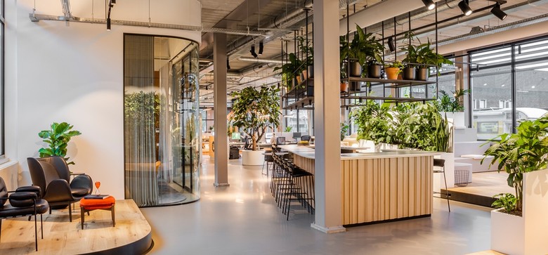 Pracovit spolenosti InteriorWorks v Amsterdamu, zdroj Ttris Design & Build