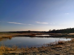 Zimní pohled na biotop (Foto: Povodí Moravy, s. p.)