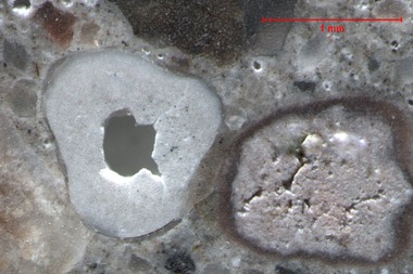 Obr. 4: Zrno rohovce (vpravo) vedle dutiny vyplněné alkalickým gelem (vlevo) na snímku z optického mikroskopu [12]
