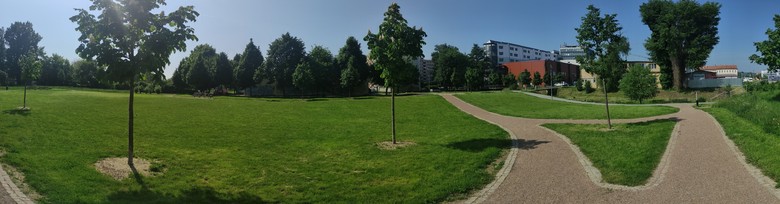 Pohled na park Mariacela, v pozadí areál Svatopetrská (Fotografie – Ing. arch. Petr Brandejský)