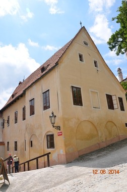 Obr. 5: Příklad potenciálu rozvoje mikroorganismů – vlhká zeď na zámku v Českém Krumlově