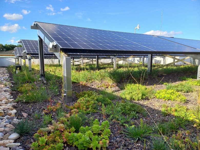 Obrzek 3: Biosolrn zelen stecha na RD Zdiby, kdy jsou nosie fotovoltaiky piteny plon vegetanm souvrstvm (GreenVille service s.r.o., 2023)