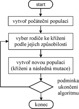 Obr. 2 Vvojov diagram genetickho algoritmu [8]