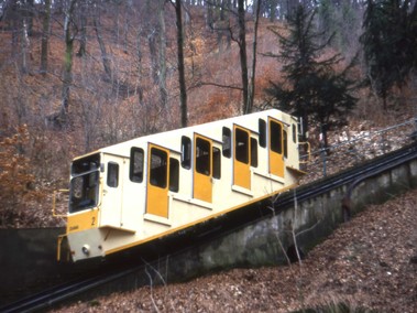 Lanov drha Diana, Karlovy Vary. Foto: Roman Kuera (LESENSKY.CZ)