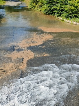 Obr. 3b Minerln sediment, vpenat sraenina zbarven elezem vznikl naruenm chemick rovnovhy vody. Vzorek zskan zenm proplachem potrub.