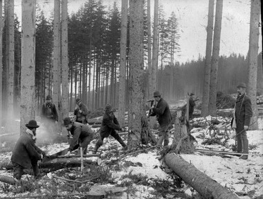 Obr. 2a: Zpracovn kulatiny v lese v dob vegetanho klidu, cca r. 1920. (Foto: Jaroslav Jakubes)