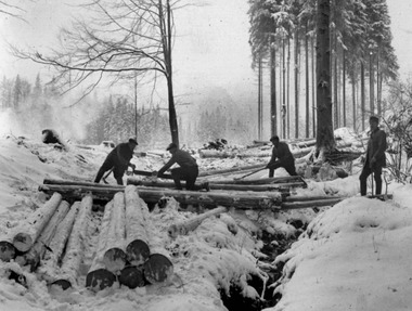 Obr. 2b: Zpracovn kulatiny v lese v dob vegetanho klidu, cca r. 1920. (Foto: Jaroslav Jakubes)