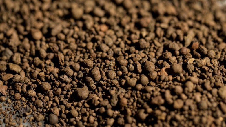 Lehké keramické kamenivo liapor – detail 1–4 mm Lehké keramické kamenivo liapor – detail 1–4 mm