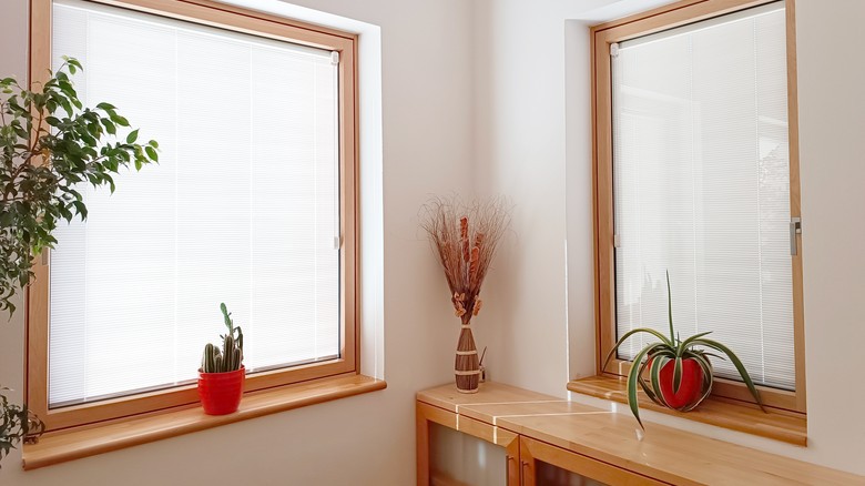 Nová možnost designu oken Slavona: provedení flat