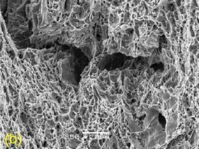 Obr. 6 Vzorek 50A-11 po expozici 30 MPa, 1000 h: (b) detaily transkrystalického tvárného mechanismu porušení