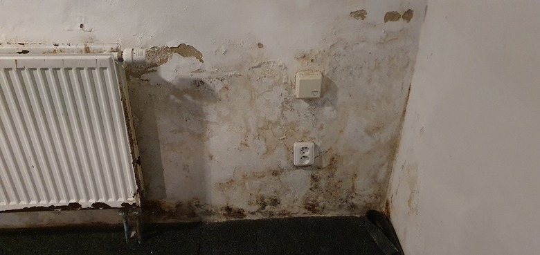 Obr. 5: Pohled na neizolovanou zeď s vážným poškozením. Vpravo zdivo s přizdívkou, bez viditelného poškození.