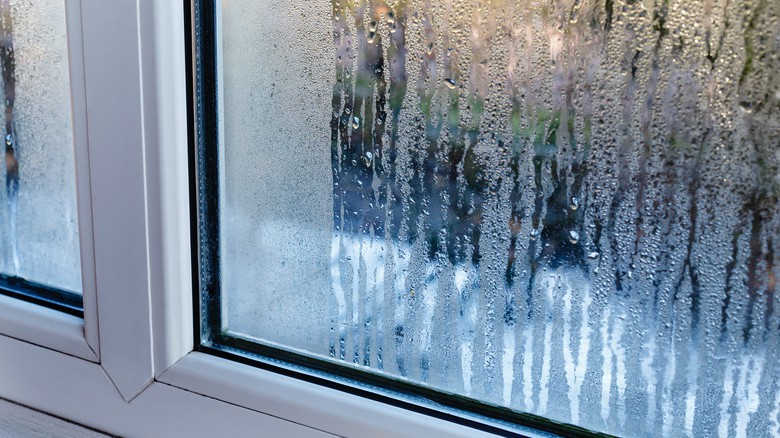 Orosené okno © AdobeStock Orosené okno © AdobeStock