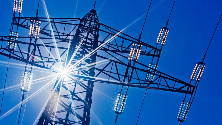 Foto © Gina Sanders, Fotolia.com