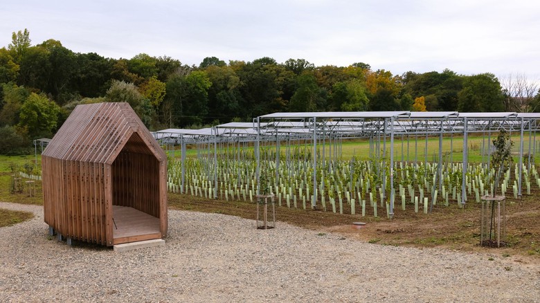 Agrovoltaika MND na jižní Moravě, foto © TZB-info Agrovoltaika MND na jižní Moravě, foto © TZB-info