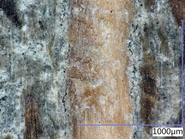 Obr. 14b Mikrostruktura referenčního materiálu 02SM – po vystavení prostředí s proměnlivou relativní vlhkostí