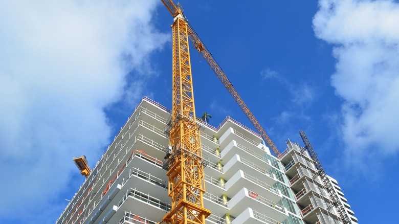 Foto © richard pross, stock.adobe.com