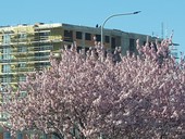 Ceny plánuje zvýšit naprostá většina developerů