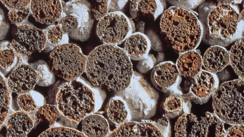 Liapor MIX – detail