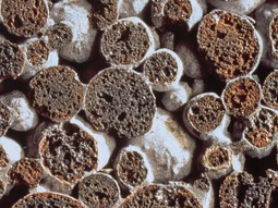 Liapor MIX – detail