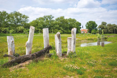 Zdroj: Časopis Priorita 7-8/2026. Foto: Vojtěch Herout