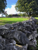 Nekonečné zídky z vápence – oblast Galway. Foto: Petr Brandejský