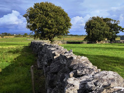 Zídky prorostlé zelení a doplněné o betonovou dostavbu – oblast Galway. Foto: Petr Brandejský