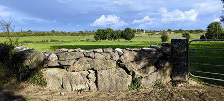 Nekonečné zídky z vápence – oblast Galway. Foto: Petr Brandejský